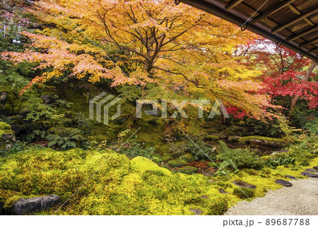紅葉の瑠璃光院　京都の紅葉名所　SNS映えスポット　もみじと日本庭園 89687788