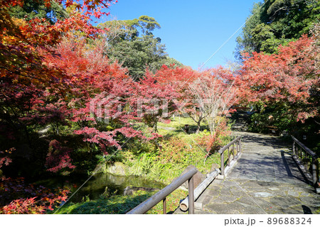 きれいな紅葉の徳川園 89688324