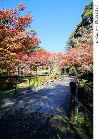 きれいな紅葉の徳川園 きれいな紅葉の徳川園 89688327