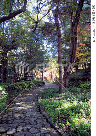 きれいな紅葉の徳川園 きれいな紅葉の徳川園 89688760