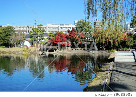 きれいな紅葉の徳川園 きれいな紅葉の徳川園 89688905