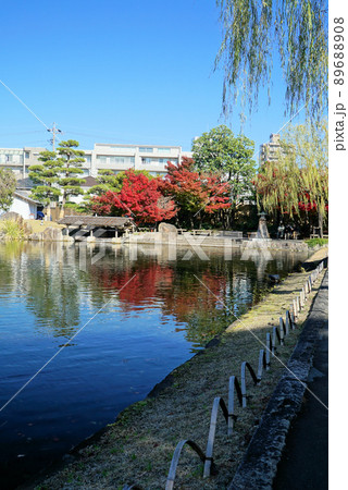 きれいな紅葉の徳川園 きれいな紅葉の徳川園 89688908