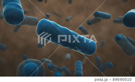Normal flora of small intestine, lactic acid bacteria. Probiotic bacterium 89690010