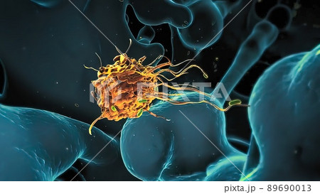 Bacteria of different shapes, rod-shaped bacteria and cocci, human microbiome, human pathogenic bacteria, 89690013