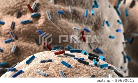 Bacteria of different shapes, rod-shaped bacteria and cocci, human microbiome, human pathogenic bacteria, 89690015