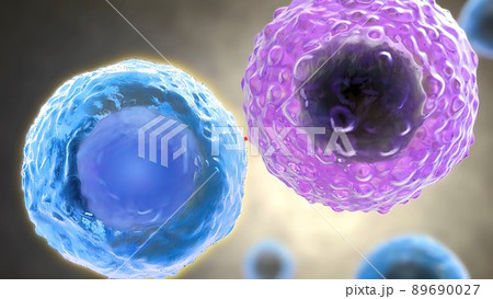 Antigen Recognition by B-cell and T-cell Receptors 89690027