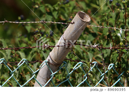 Barbed wire fence in a city park on the Mediterranean coast in Israel 89690395