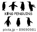 リアルなキングペンギンのシルエットイラストセット 89690981