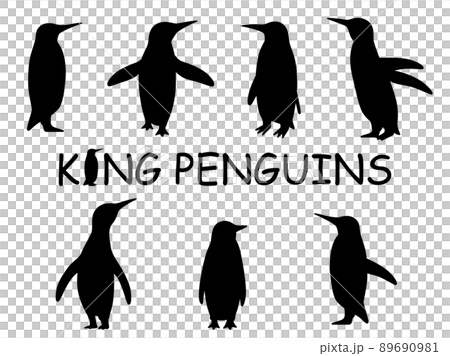 リアルなキングペンギンのシルエットイラストセットのイラスト素材