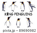 リアルなキングペンギンのイラストセット 89690982