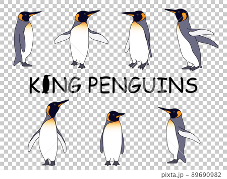 Realistic King Penguin Illustration Set Realistic King Penguin Illustration Set 89690982