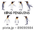 リアルなキングペンギンのイラストセット 89690984