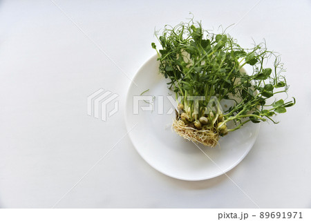 Sprouted seeds and pea stalks on a white plate 89691971
