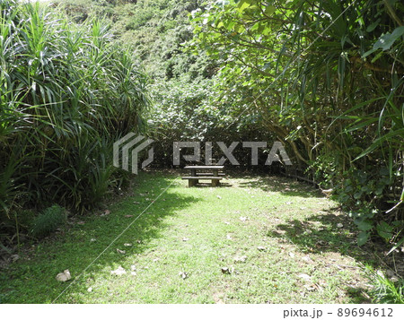 久米島県立自然公園 沖縄 4月 久米島県立自然公園 沖縄 4月 89694612