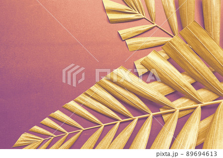 Blurred background of palm leaves with vintage filter. Copy space. Blurred background of palm leaves with vintage filter. Copy space. 89694613