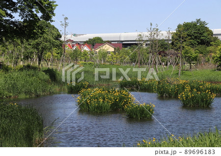 イイナパーク川口・赤山歴史自然公園にて 89696183