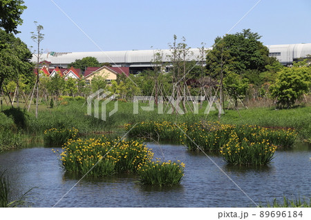 イイナパーク川口・赤山歴史自然公園にて イイナパーク川口・赤山歴史自然公園にて 89696184