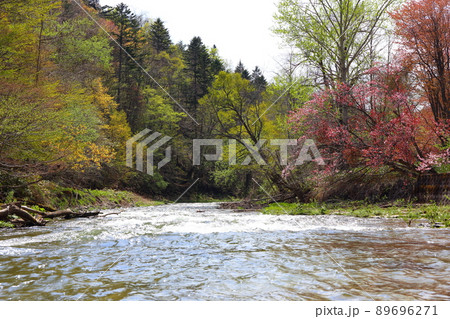 麓郷の原風景 麓郷の原風景 89696271