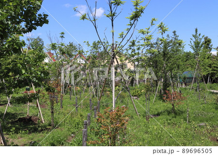 イイナパーク川口・赤山歴史自然公園(里のせせらぎ) イイナパーク川口・赤山歴史自然公園(里のせせらぎ) 89696505
