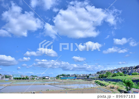 田植えの始まった初夏の田んぼ 89697183