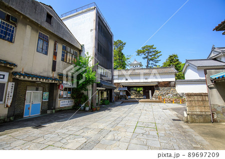 大垣市 大垣城の遠景 大垣市 大垣城の遠景 89697209
