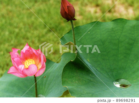 平成721 平成721 89698291