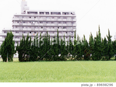 平成718 平成718 89698296