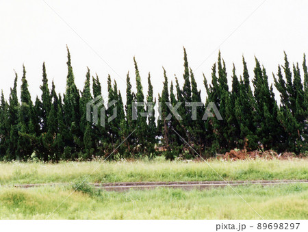 平成717 平成717 89698297