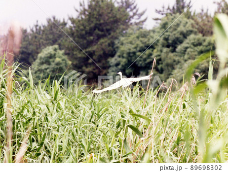 平成714 平成714 89698302