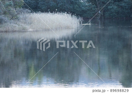 霜がおりたあさのため池の風景　 89698829