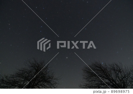 長野県南牧村、ヤマナシの木に掛かる春の大曲線 89698975