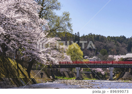210407中橋桜g252 89699073