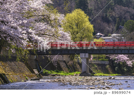 210407中橋桜g233 210407中橋桜g233 89699074