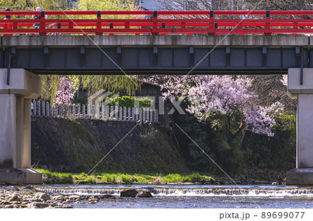 210407中橋桜g122 89699077