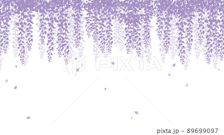 満開の藤の花が上から垂れ下がるイメージ背景 満開の藤の花が上から垂れ下がるイメージ背景 89699097