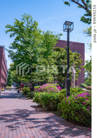 自然に囲まれた美しい山梨学院大学のキャンパス 総合大学 甲府市 自然に囲まれた美しい山梨学院大学のキャンパス 総合大学 甲府市 89699250