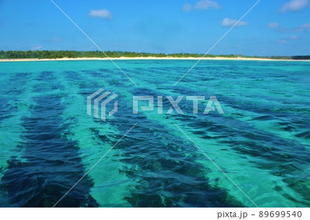 久米島　もずくの養殖風景 89699540