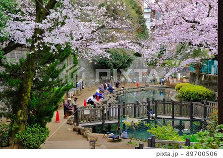 板橋区立氷川つり堀公園 89700506