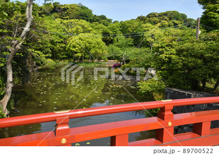 源氏池の風景 源氏池の風景 89700522