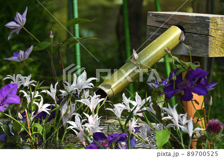 花を浮かべた手水舎 89700525