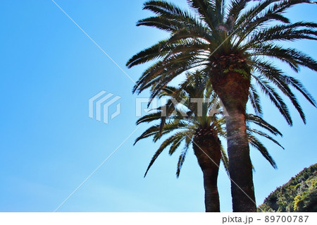 宮崎 日南海岸の堀切峠 宮崎 日南海岸の堀切峠 89700787