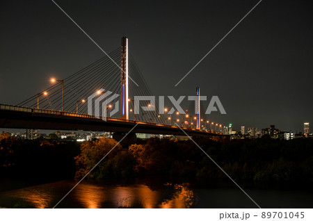 菅原城北大橋とワンド夜景 菅原城北大橋とワンド夜景 89701045