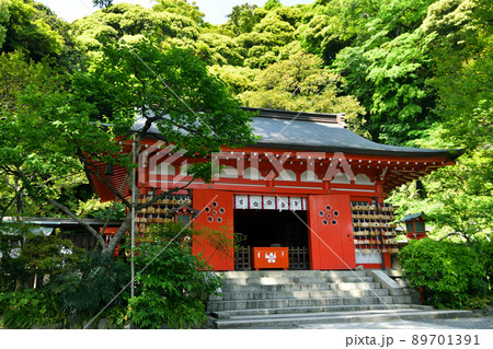 漫画家ゆかりの荏柄天神社 89701391