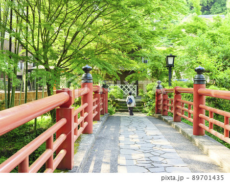 修善寺の新緑　 89701435