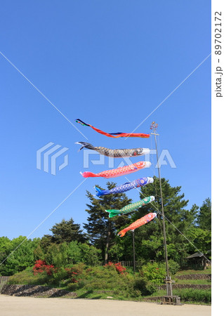 鯉のぼり　端午の節句　皐月の空　青空に泳ぐ鯉のぼり 89702172