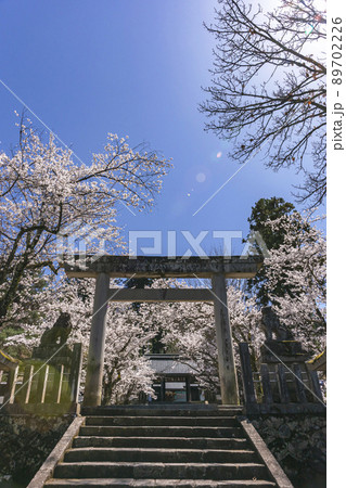210407護国神社桜z021 210407護国神社桜z021 89702226