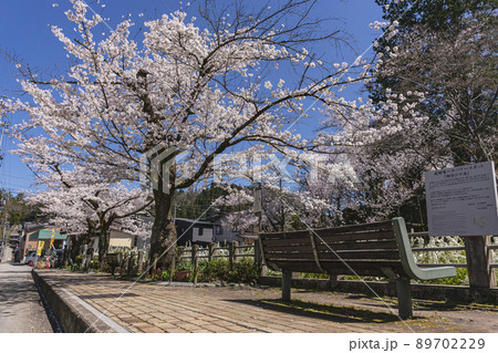 210407護国神社桜z007 210407護国神社桜z007 89702229
