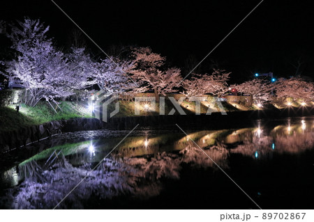 松本城桜並木の光の回廊 89702867