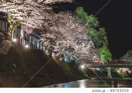 210408中橋夜桜g148 89703050
