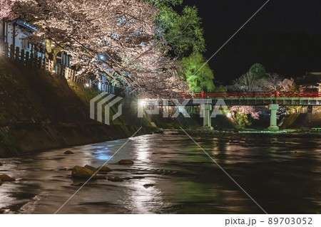 210408中橋夜桜g143 89703052